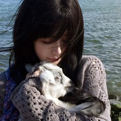 戴勋章的走私犯